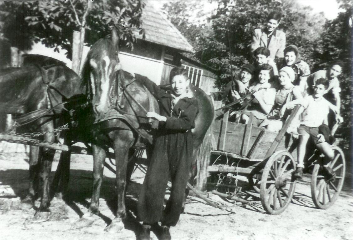 pferdewagen-gross1